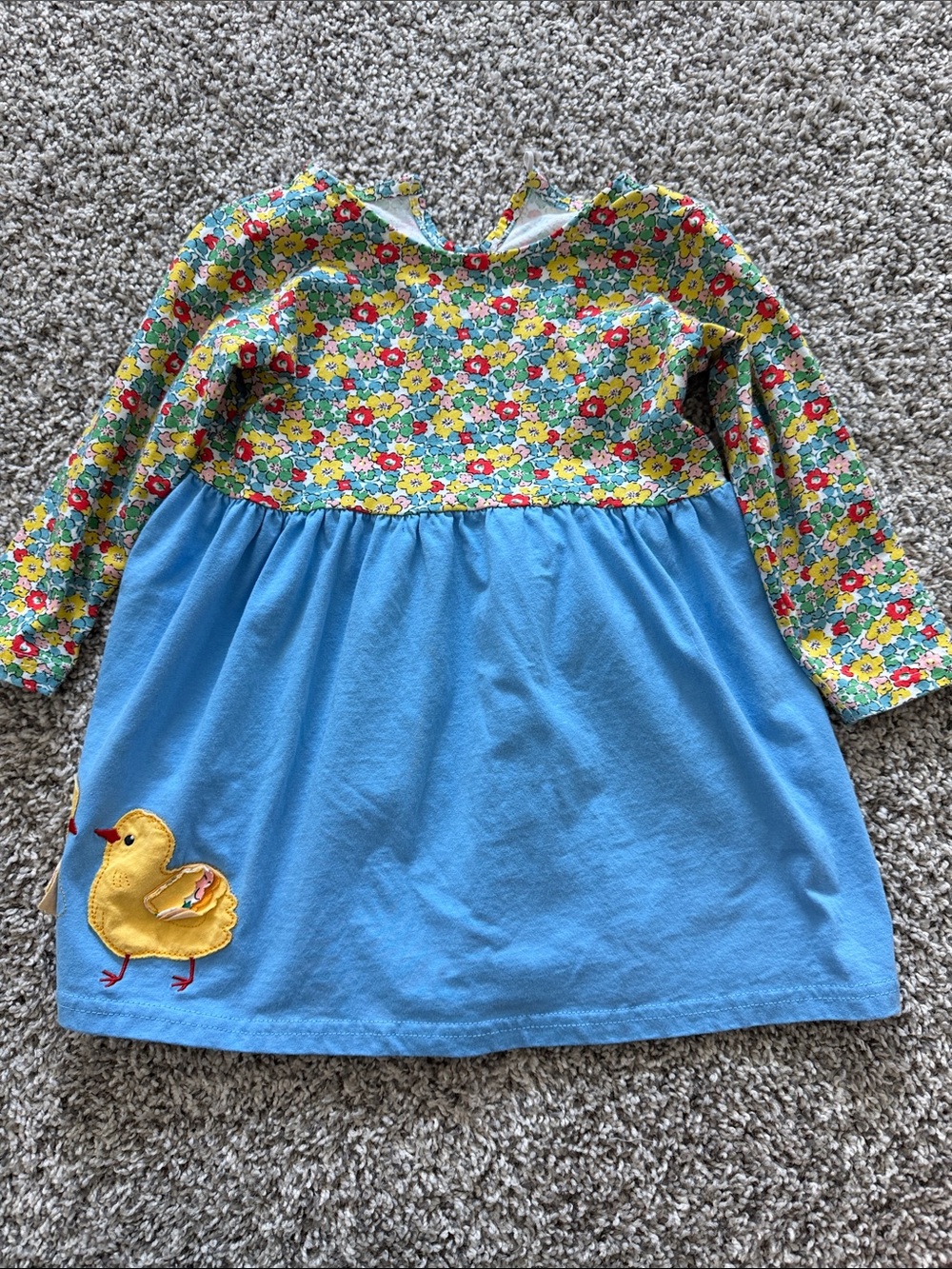 Girls Blue & Floral Long-Sleeve Dress with Chick/Duck Applique